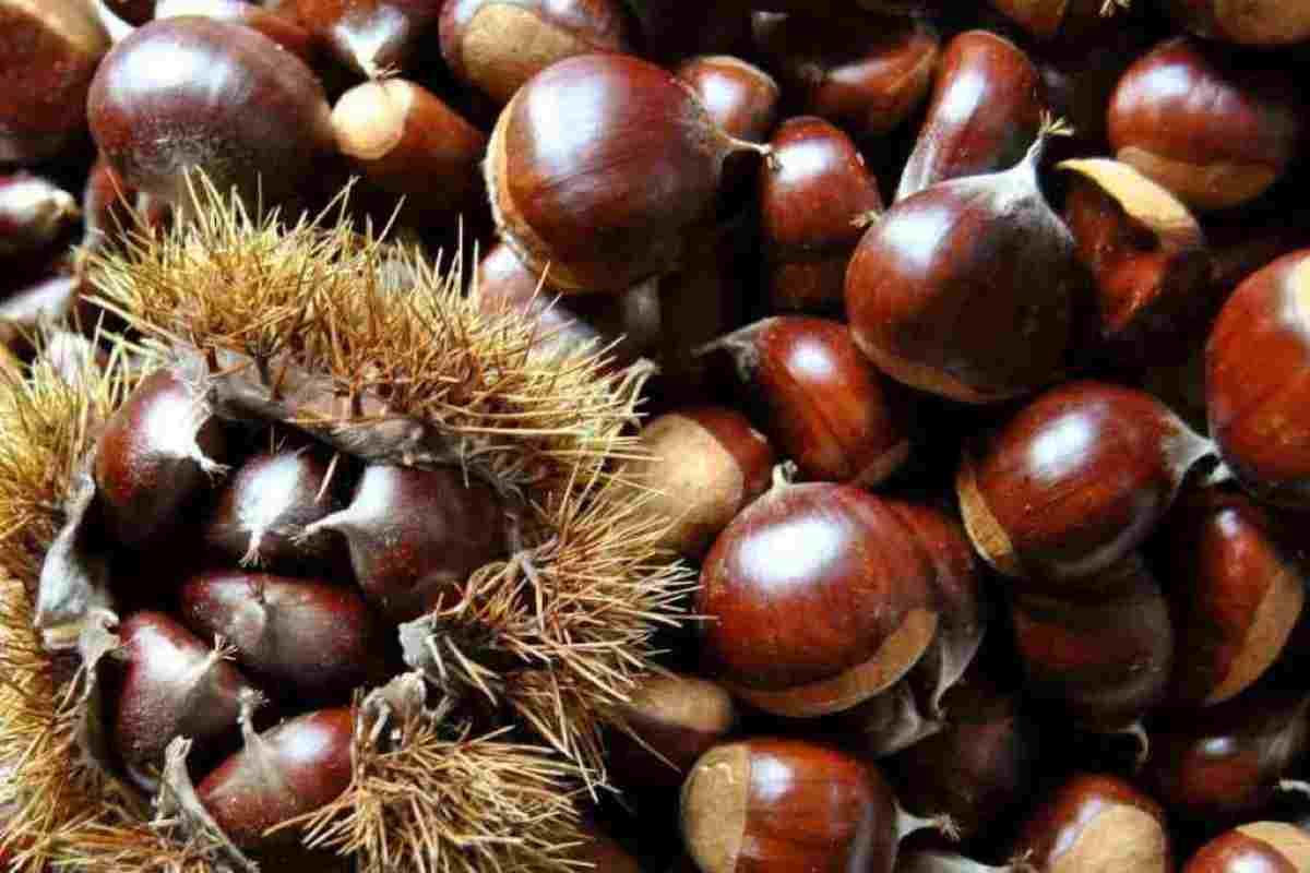 Castagne 