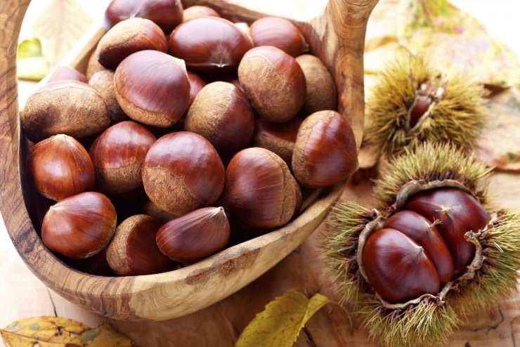 Castagne