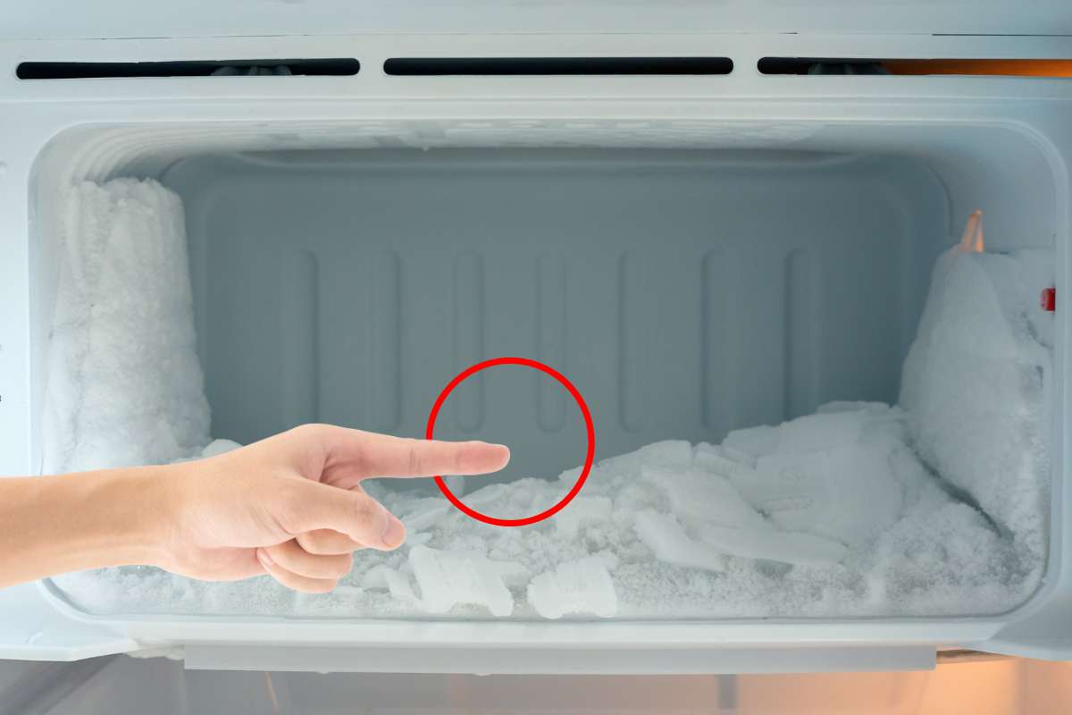 punto nascosto nei freezer a cosa serve