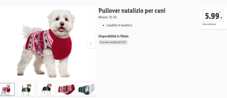 Cane con pullover