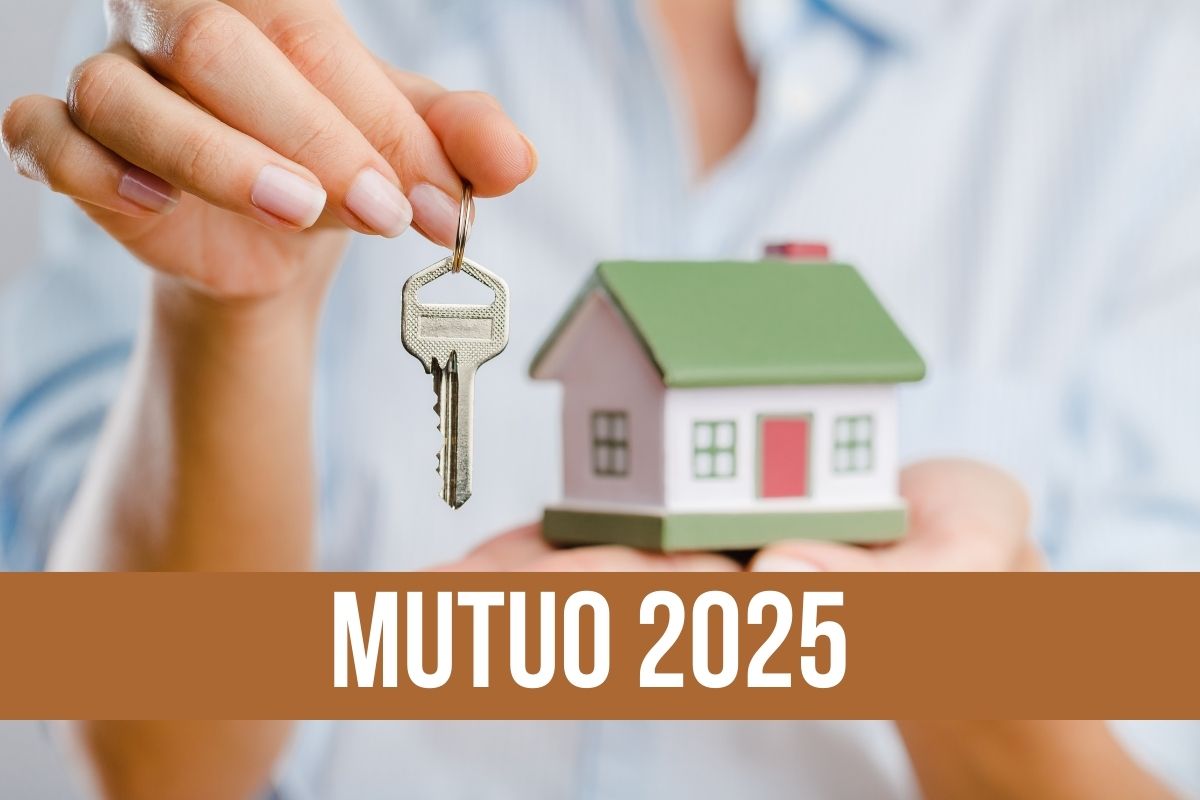 mutuo 2025