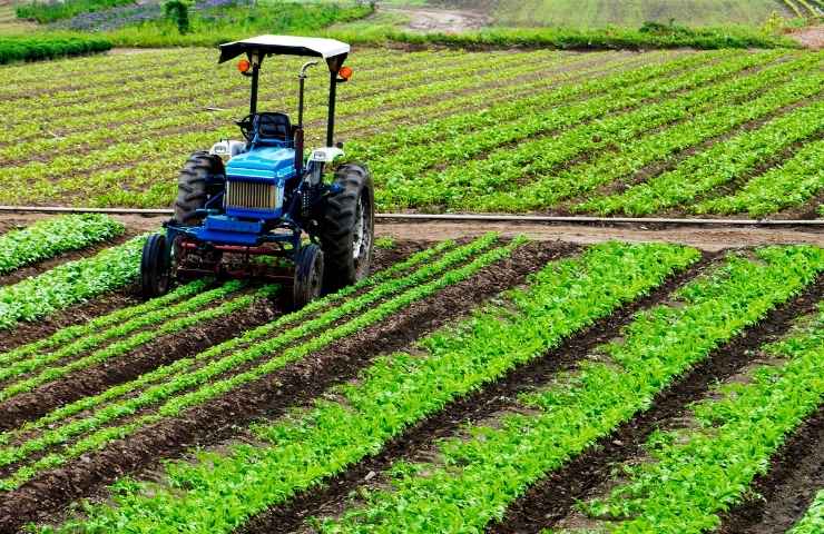 IMU 2025 terreni agricoli 