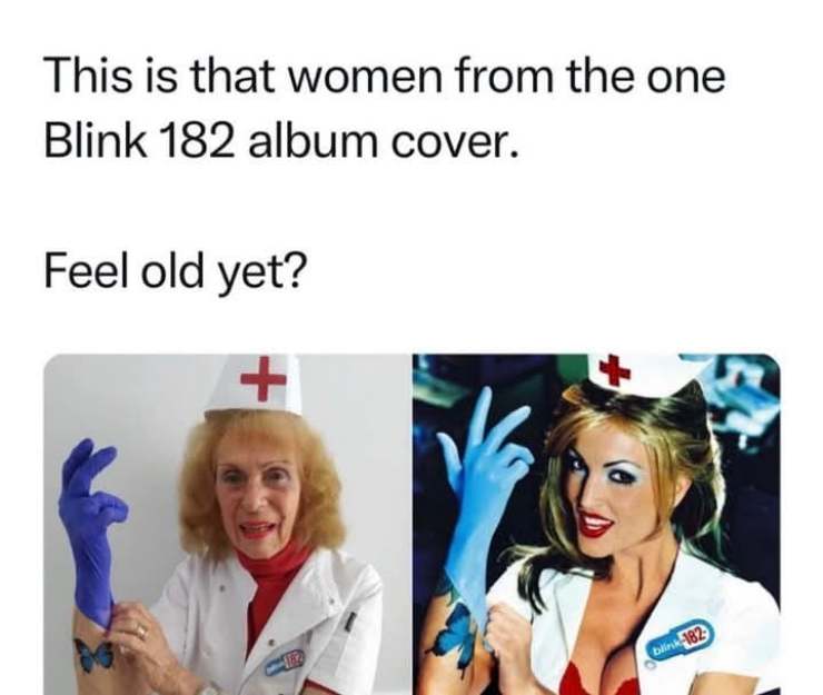 Donna Copertina Blink 182 