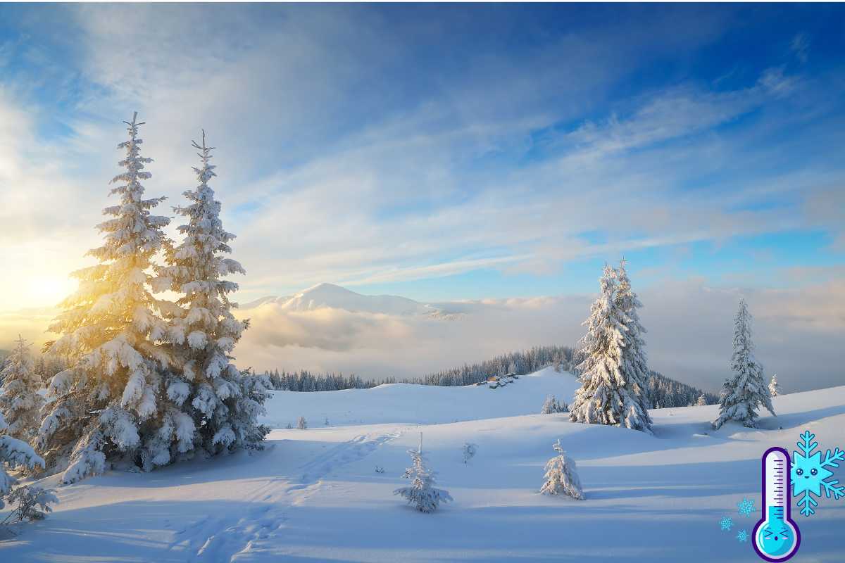 Paesaggio innevato