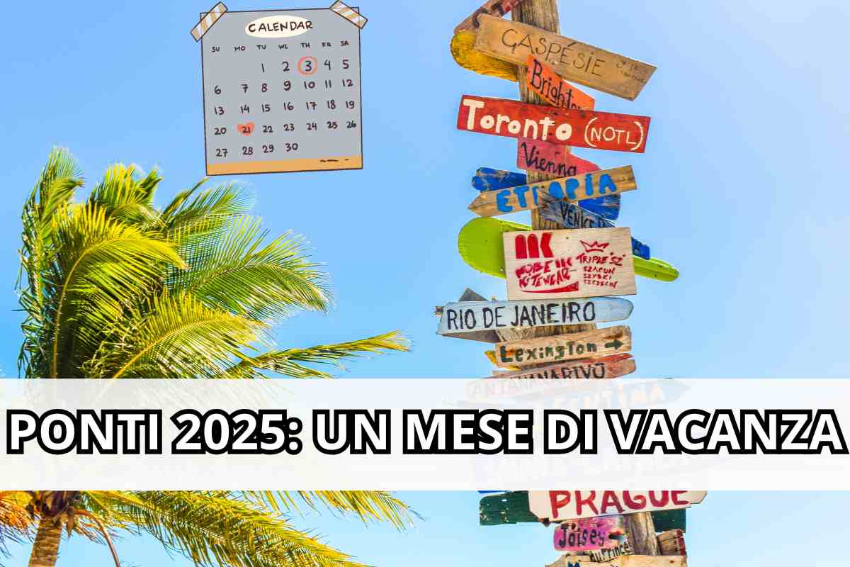 Ponti 2025 