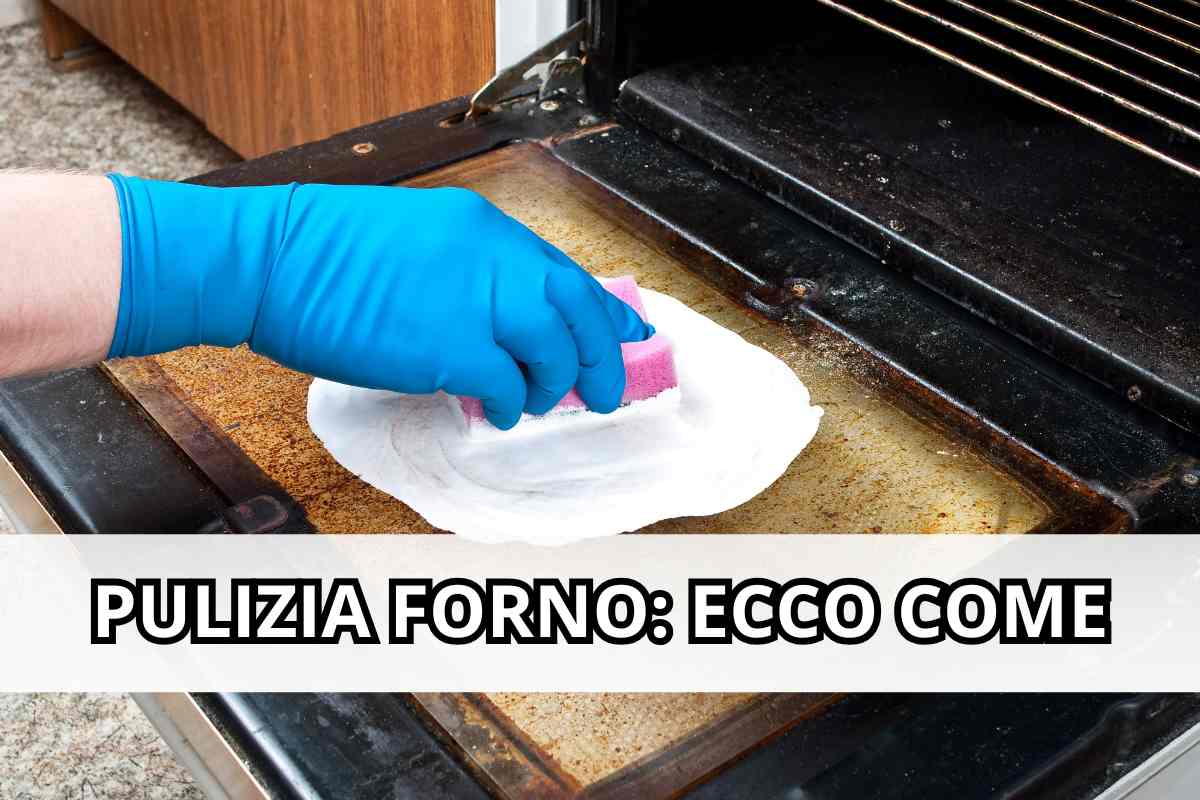 Pulizia forno 