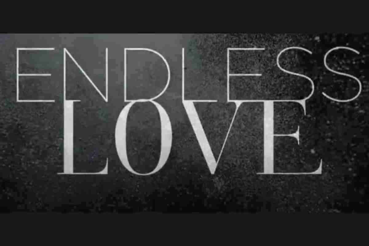 Endless Love, soap "cancellata" da Mediaset