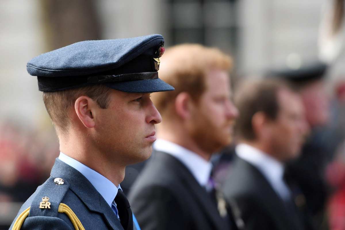 william e harry cosa accadrà nel 2025 profezia