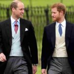 william kate gesto harry e meghan